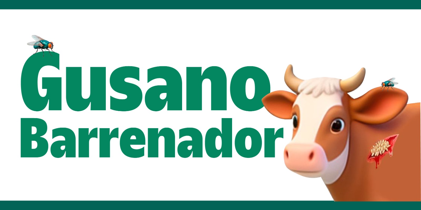 Gusano Barrenador