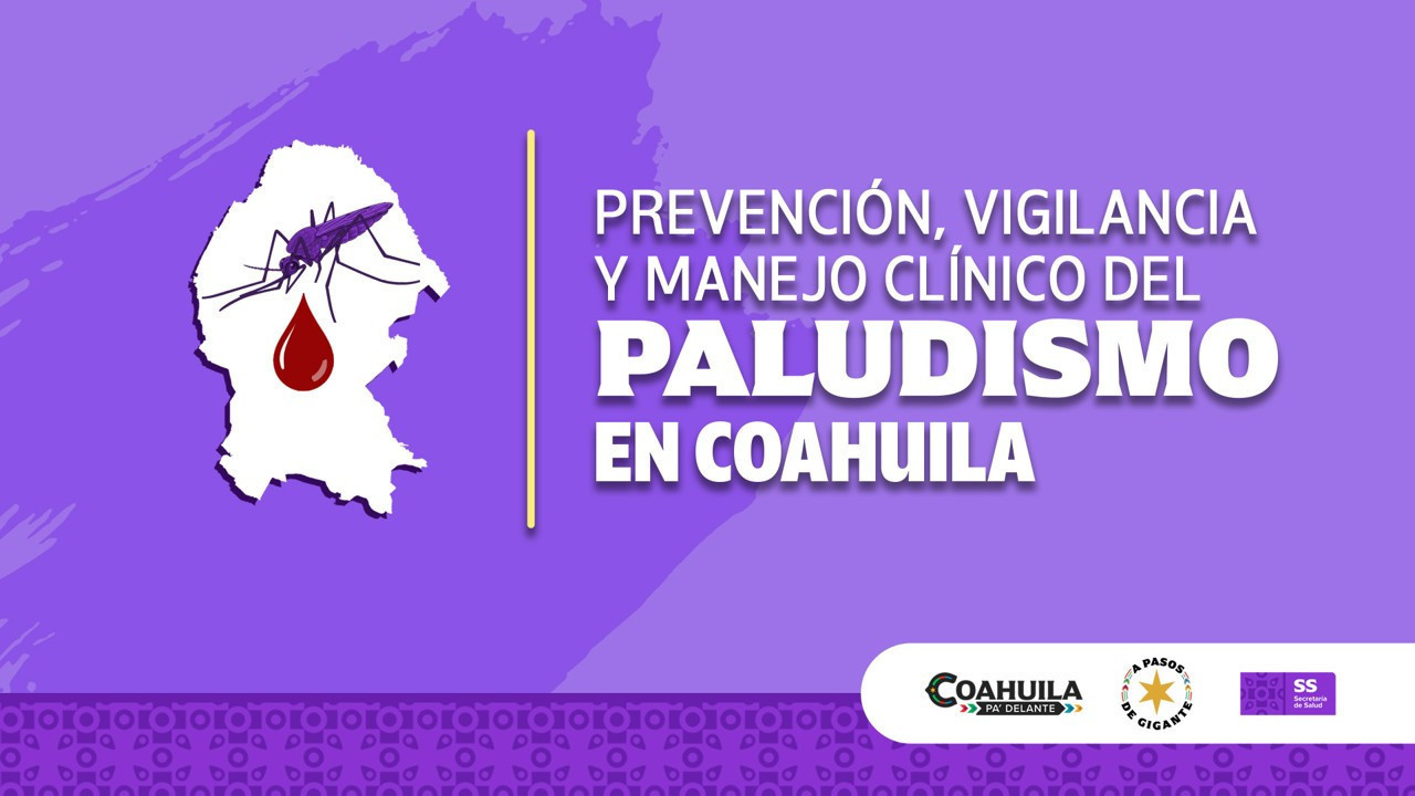 palusidmo-banner